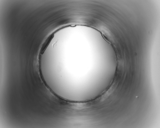 X0000088681192200706211903