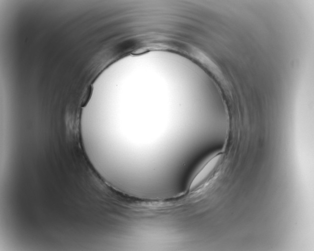 X0000088681193200706211903