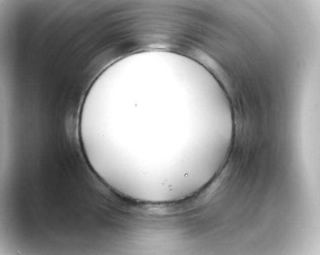 X0000088681194200706211903