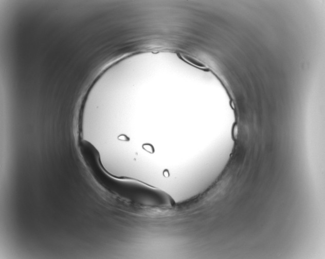 X0000088681195200706211903