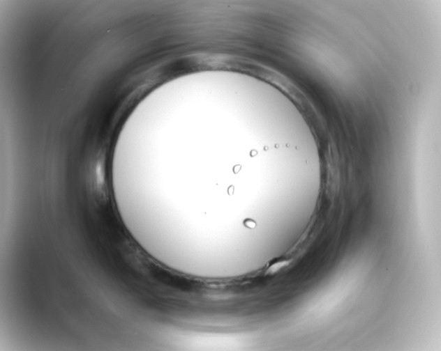 X0000088681198200706211903