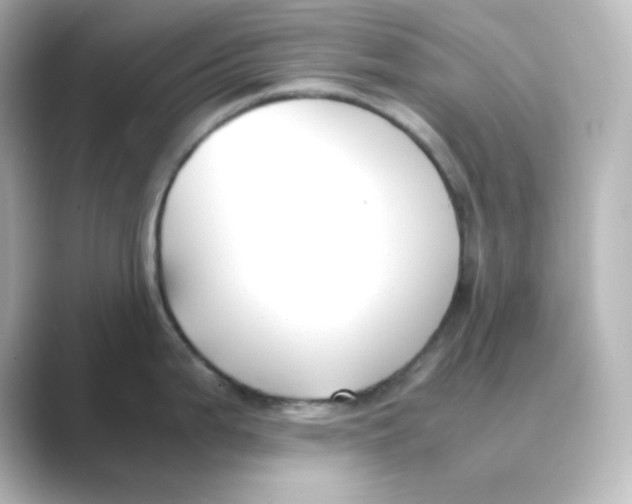 X0000088681199200706211903
