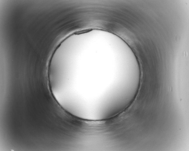 X0000088681200200706211903