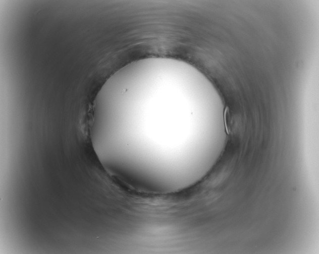 X0000088681202200706211903