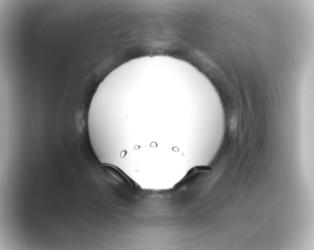 X0000088681204200706211903