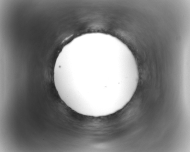 X0000088681207200706211903
