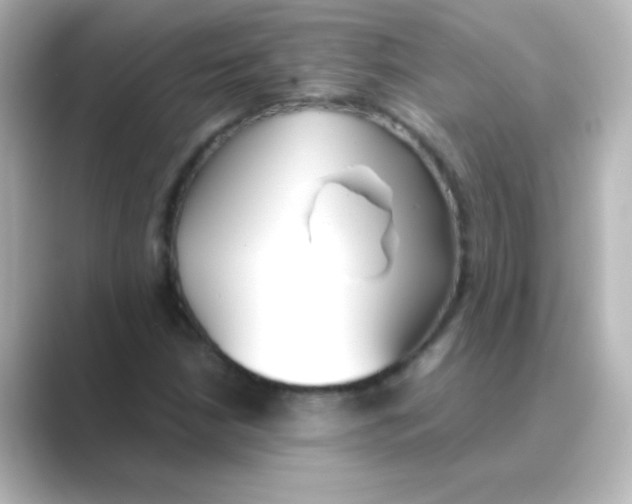 X0000088681210200706211903