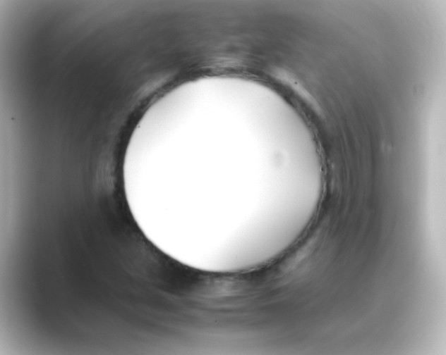 X0000088681213200706211903