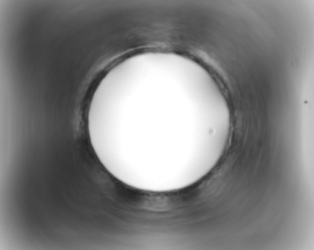 X0000088681215200706211903