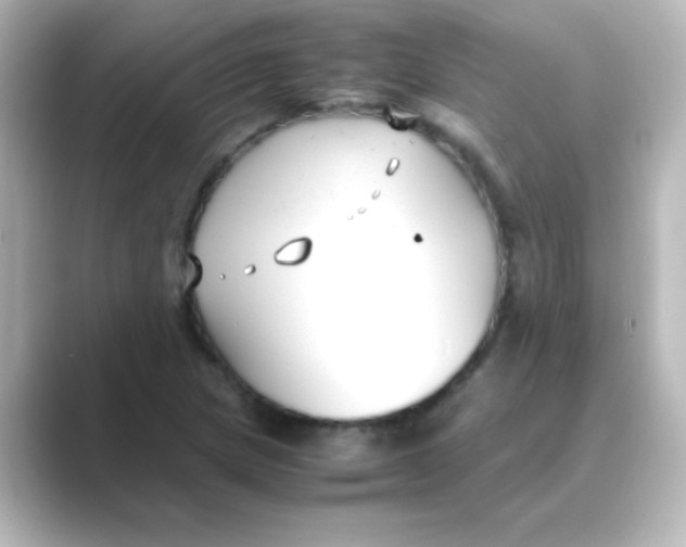 X0000088681217200706211903