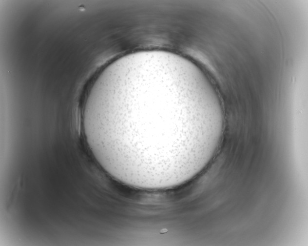 X0000088681219200706211903