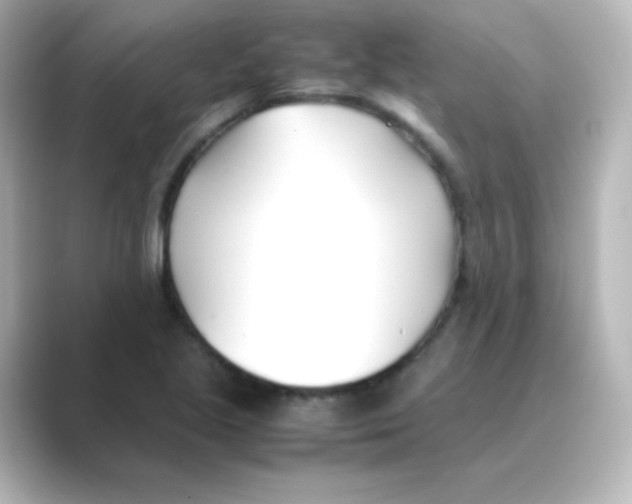 X0000088681221200706211903