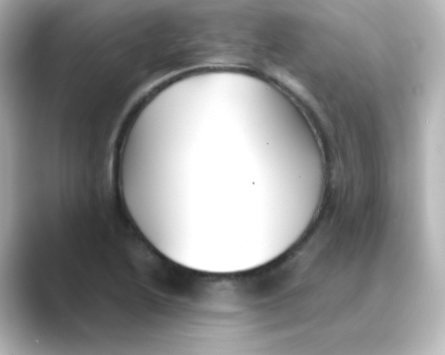 X0000088681222200706211903