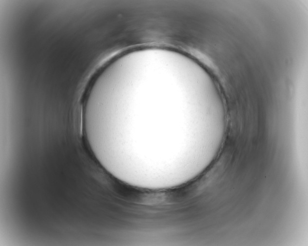 X0000088681223200706211903