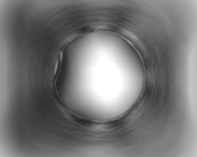X0000088681225200706211903