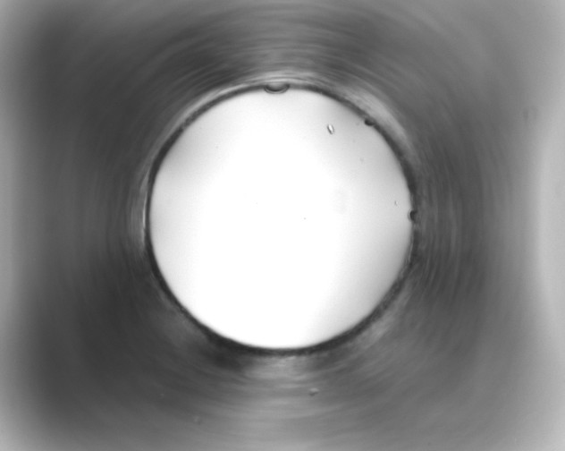 X0000088681228200706211903