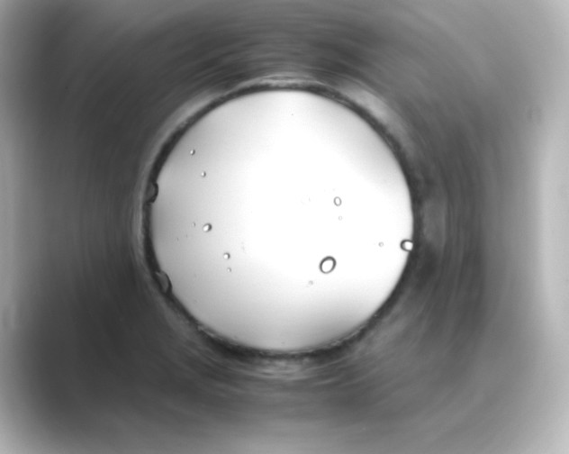 X0000088681229200706211903