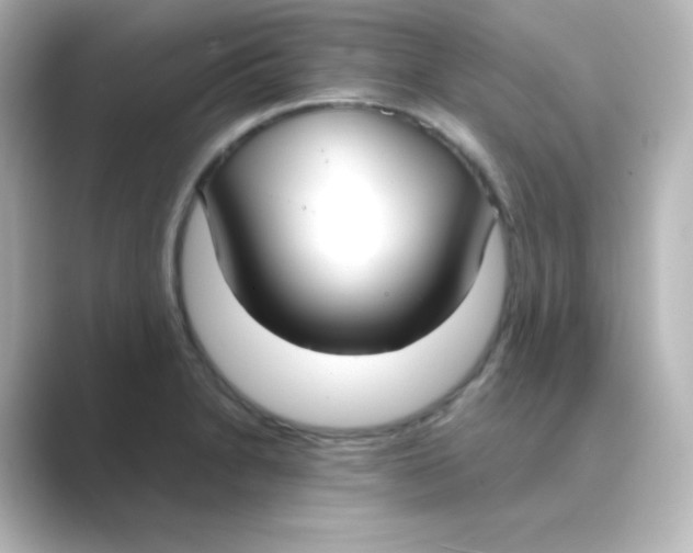 X0000088681230200706211903