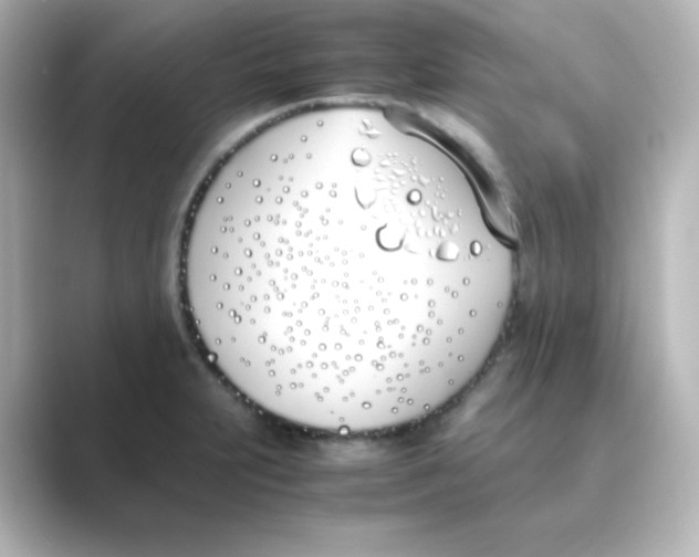 X0000088681231200706211903