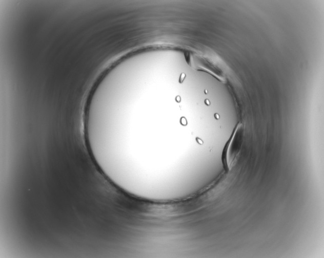 X0000088681232200706211903