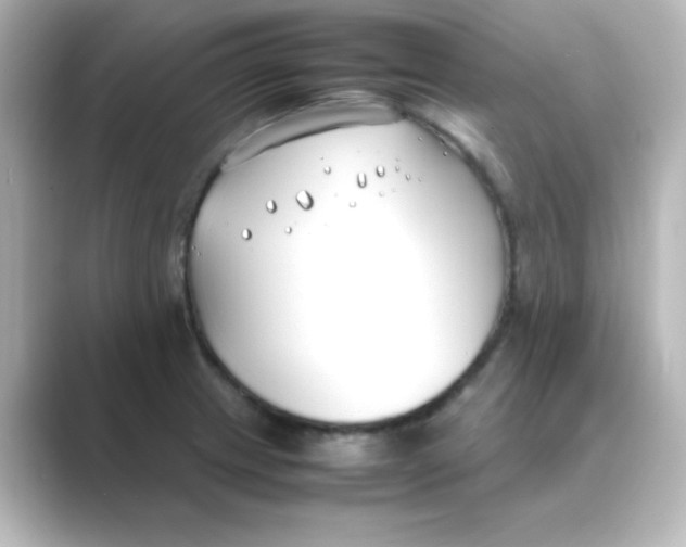X0000088681233200706211903