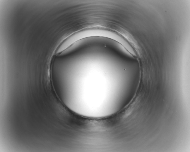 X0000088681234200706211903
