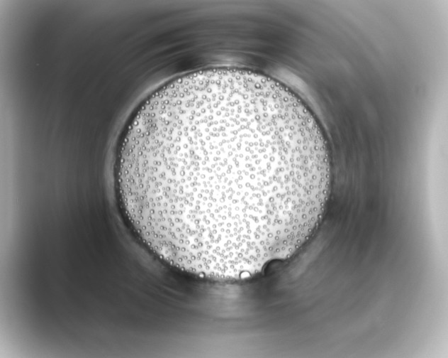 X0000088681235200706211903