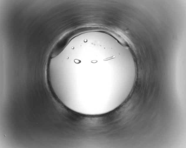 X0000088681237200706211903