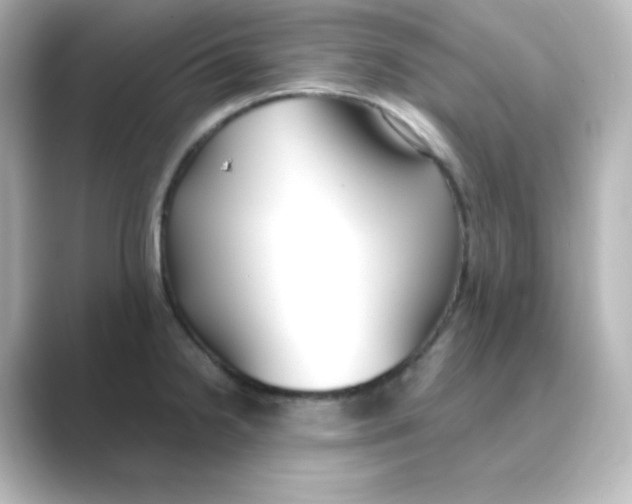 X0000088681238200706211903