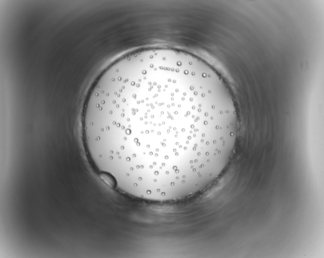 X0000088681239200706211903