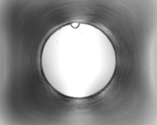 X0000088681240200706211903