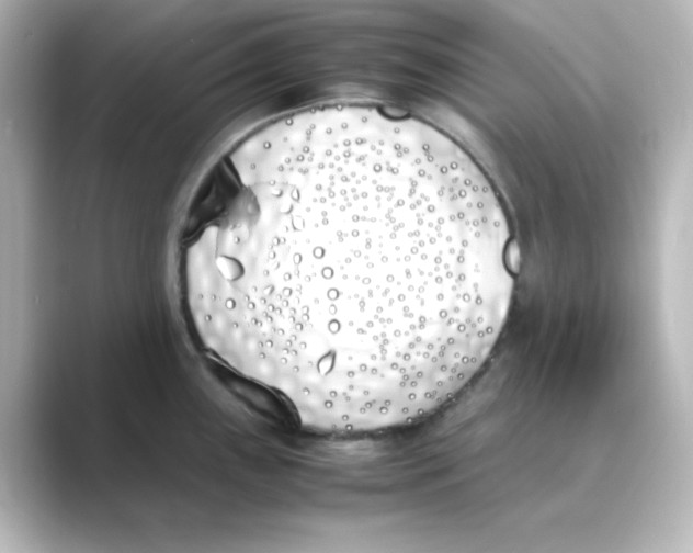 X0000088681243200706211903