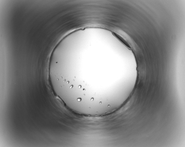 X0000088681244200706211903