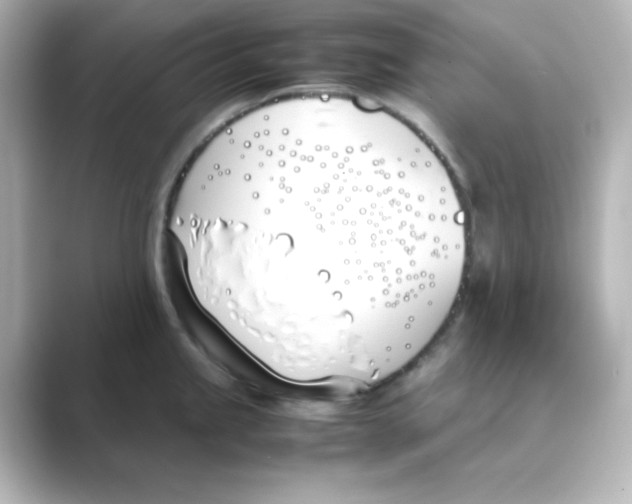 X0000088681245200706211903