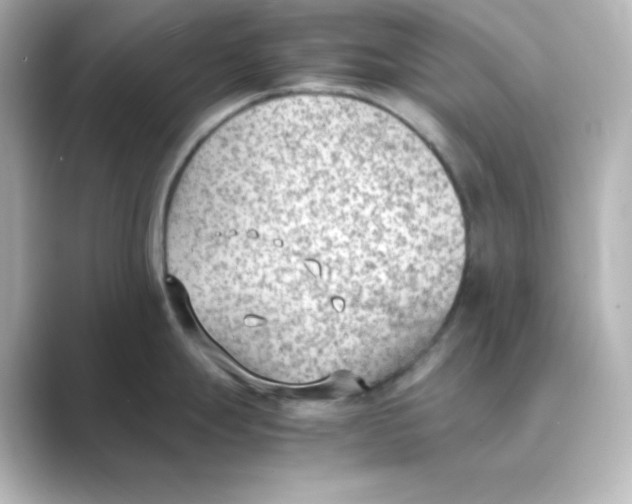 X0000088681247200706211903