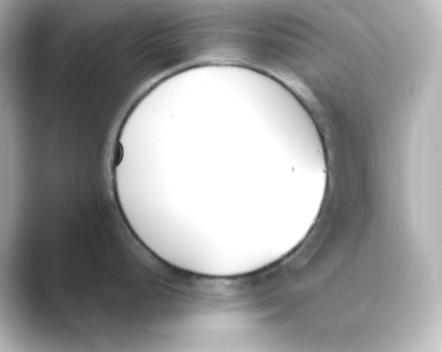 X0000088681248200706211903