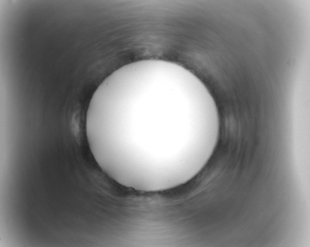 X0000088681250200706211903