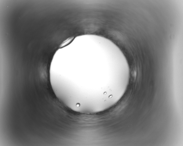X0000088681252200706211903