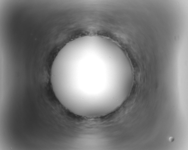 X0000088681253200706211903
