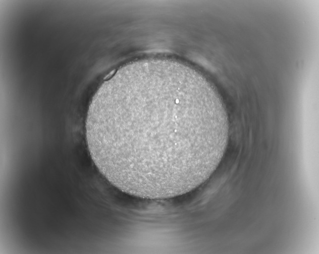 X0000088681255200706211903