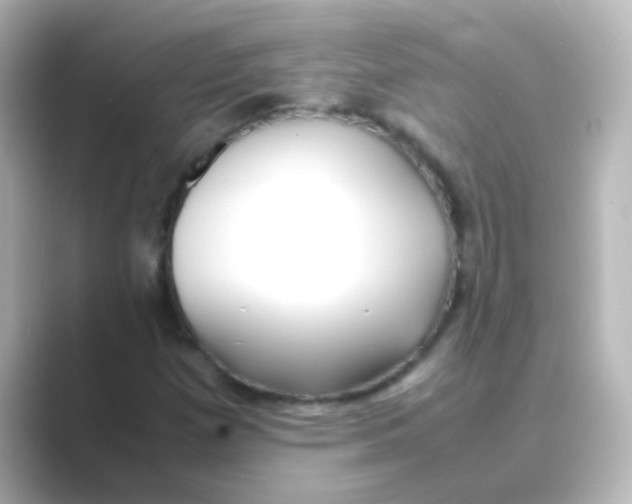 X0000088681257200706211902
