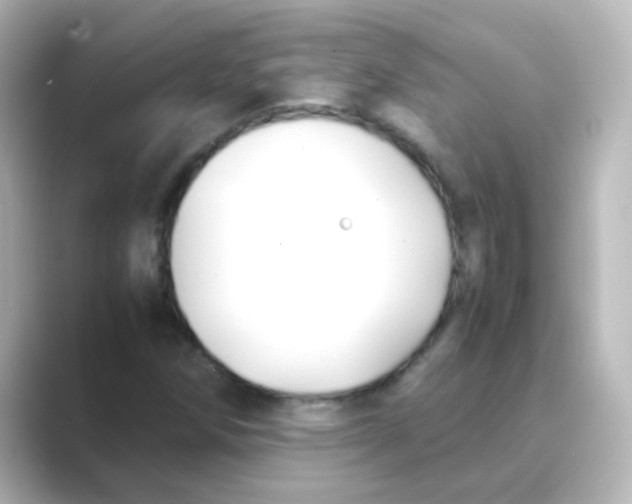 X0000088681258200706211902