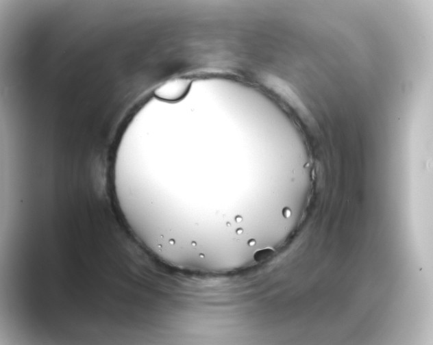 X0000088681260200706211902