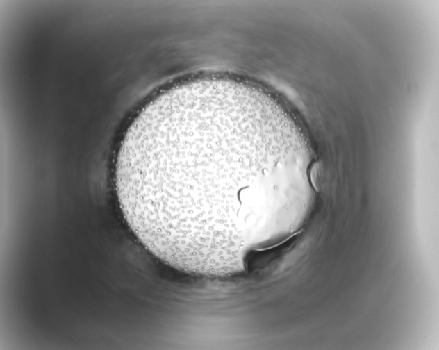 X0000088681263200706211902