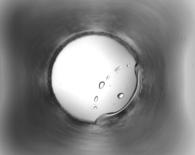 X0000088681264200706211902