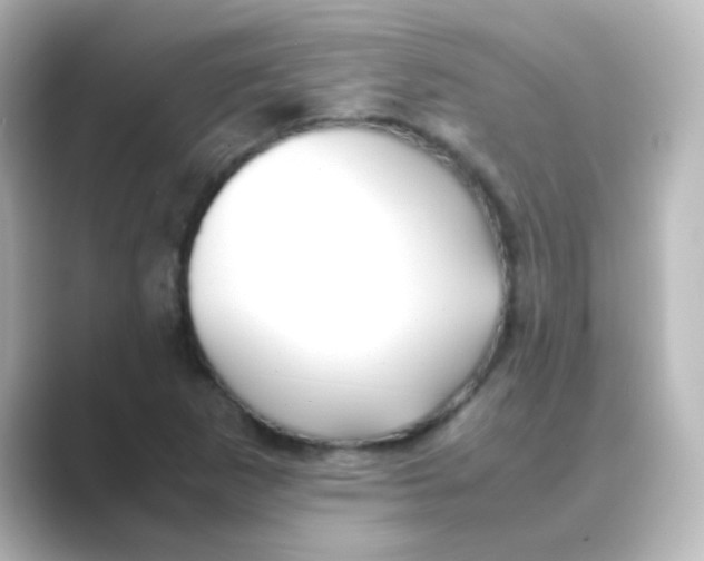 X0000088681265200706211902