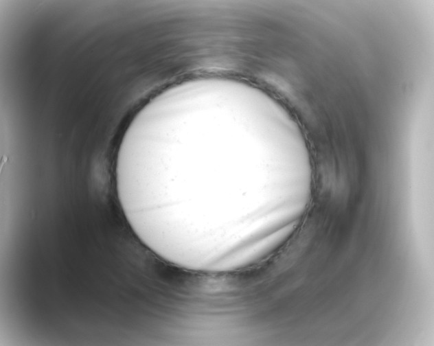 X0000088681266200706211902