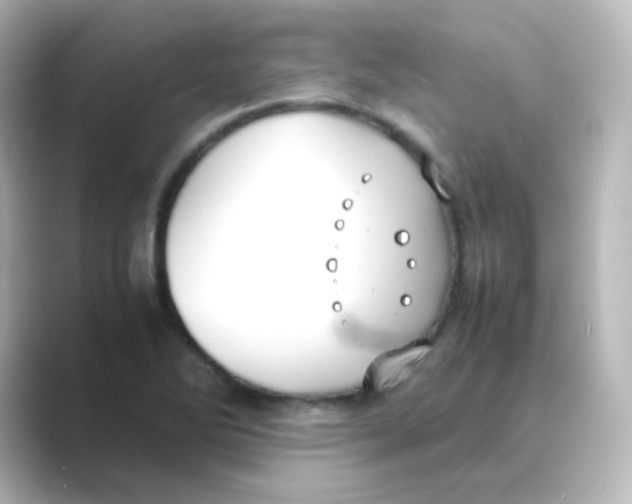 X0000088681270200706211902