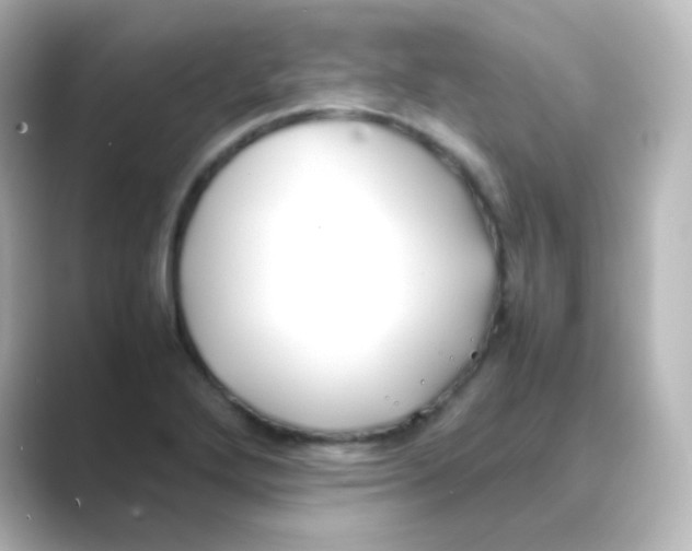 X0000088681272200706211902
