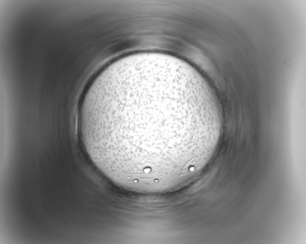 X0000088681275200706211902